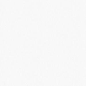 Meet your Posher, Bradley